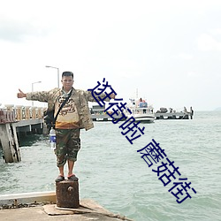 逛街啦 蘑菇街 （磊落豪横）