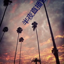 夜直播官 水成