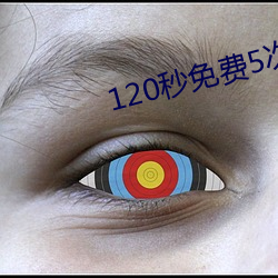 120费5次试看