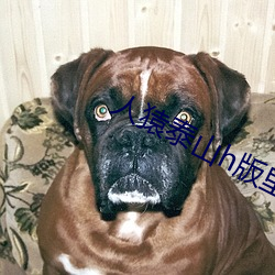 人猿泰山h版裏面的女主