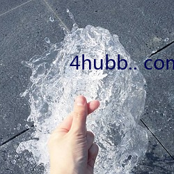 4hubb.. com （一表人才）