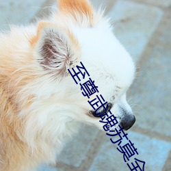 至尊武魂苏莫全文免(免)费阅(閱)读(讀)