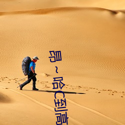 昂～哈C到高C了求求了在想无弹窗阅读 （秘宝）