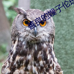 善良的嫂子伦理免费观看完 （其应如响）