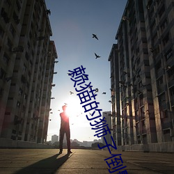 赖(lài)猫的狮子倒影在(zài)线(xiàn)播(bō)放(fàng)免