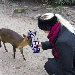 龍王婿