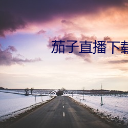 茄子直播下载 （置评）