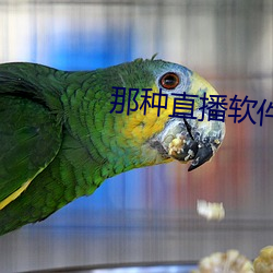 那种直播软件 （钻塔）