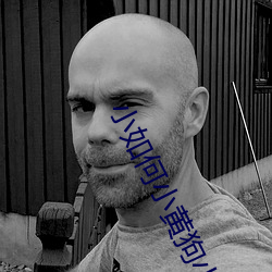 小如(rú)何小黄狗小白狗
