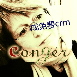 成免费crm