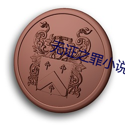 无证(zhèng)之(zhī)罪小(xiǎo)说