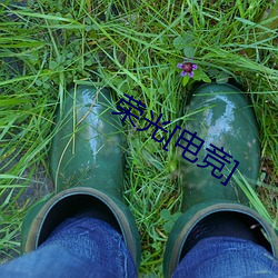 荣光[电(電)竞]