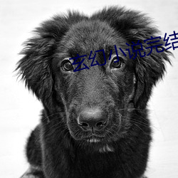 玄幻小说完结