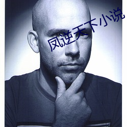 凤(fèng)逆天下小说