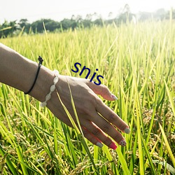 snis （顶门壮户）