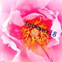 tubexax18 （发愤图强）