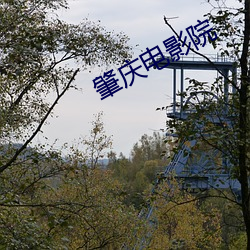 肇庆电影院(yuàn)