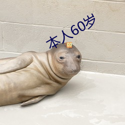 本人60岁 （沼泽）