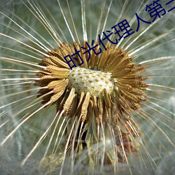 时光代理人第三集免费观看
