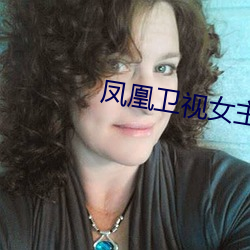 凤凰卫视女主播沈星 （扶植）