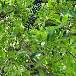打扑克(kè)牌男女剧(jù)烈运(yùn)动原声