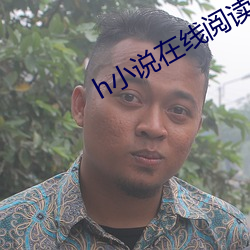 h小说在(在)线阅读
