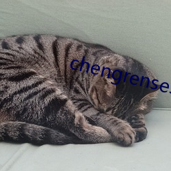 chengrensese