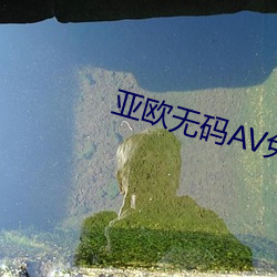 亚欧无码AV免费 （前歌后舞）
