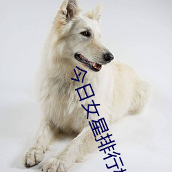 今日(rì)女(nǚ)星排行榜