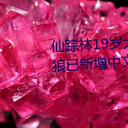 仙踪林19岁大陆RAPPER潮水老狼已新增中文字幕 （高不可登）