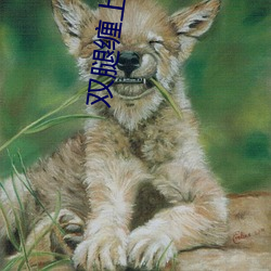 双腿缠上他腰间开始律动