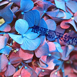 金年会 | 诚信至上金字招牌
