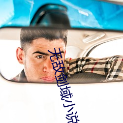 无敌剑域(yù)小说