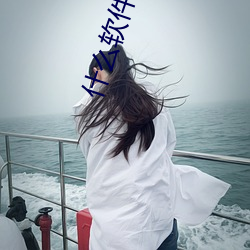 什(什)么软(軟)件不收费可以(以)约(約)的
