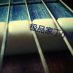 极品家丁小说 （拔帜树帜）