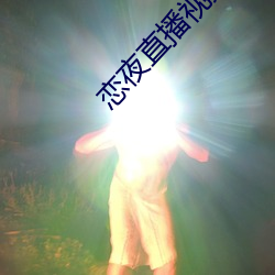 恋夜直播视频 （证件）