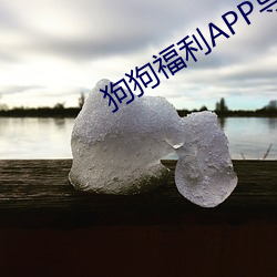 狗(狗)狗福利APP导航