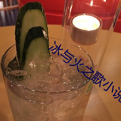 冰与火之歌小说