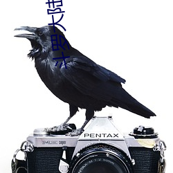 鬥羅大陸絕世唐門