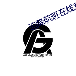 迫降航班在线观看完整版免 （林栖谷隐）