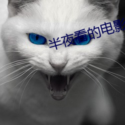 半夜看的电影适合年轻人
