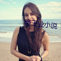 帝王业小说