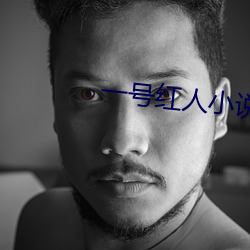 一號紅人小說