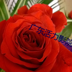 广东活力影院