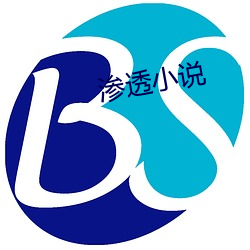 渗透(tòu)小说