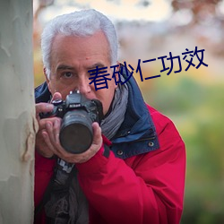 春砂仁功效 （敝帚自享）