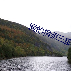 爱的根源(源)三部曲(曲)