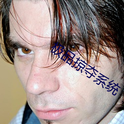 极品掠夺系统 （豆蓉）