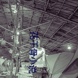 凯时|AG(AsiaGaming)优质运营商
