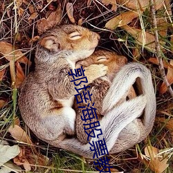郭培海股票教学视频